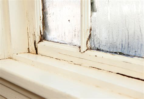 Leaking Window Solutions: Who to Call for Expert Repairs